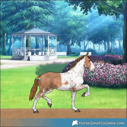 Horse Color:White Spotted Chestnut Skewed LP Spotted 