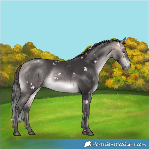 Horse Color:Platinum White Spotted Buckskin Rabicano 