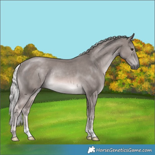 Horse Color:Platinum Chocolate Palomino Rabicano 