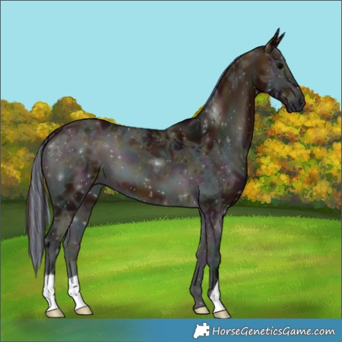 Horse Color:Painted Midnight Bay Ice Onyx 