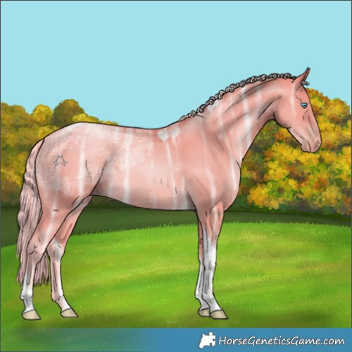Horse Color:Palomino Ice Pearl Tobiano 