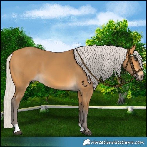 Horse Color:Silver Buckskin 