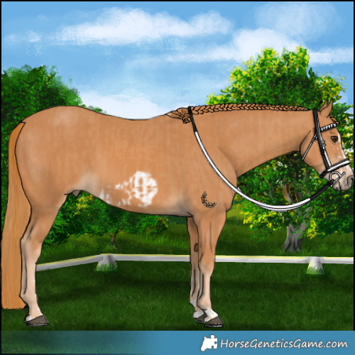 Horse Color:Chestnut Frame  and Chestnut 