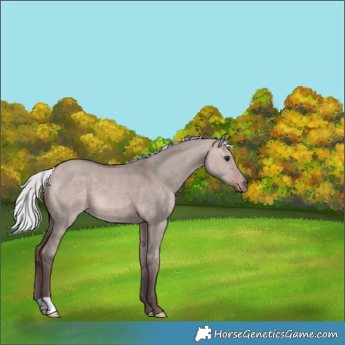 Horse Color:Platinum Silver Brown Dun 