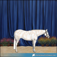 Horse Color:Silver Perlino Near Leopard