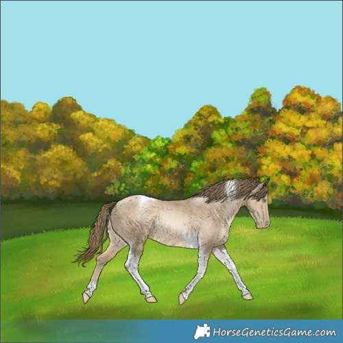 Horse Color:Smoky Black Pearl Tobiano 