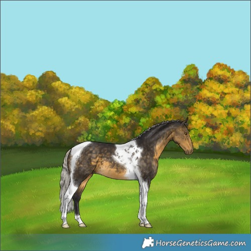Horse Color:Silver Buckskin Tobiano