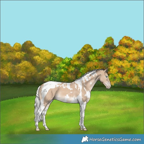 Horse Color:White Spotted Silver Smoky Creme Tobiano 