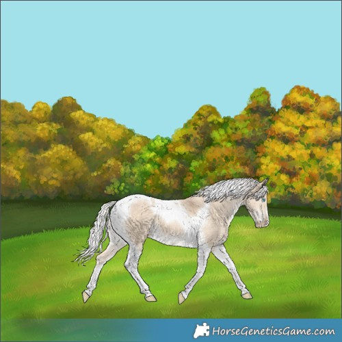 Horse Color:Silver Perlino Dun Tobiano 