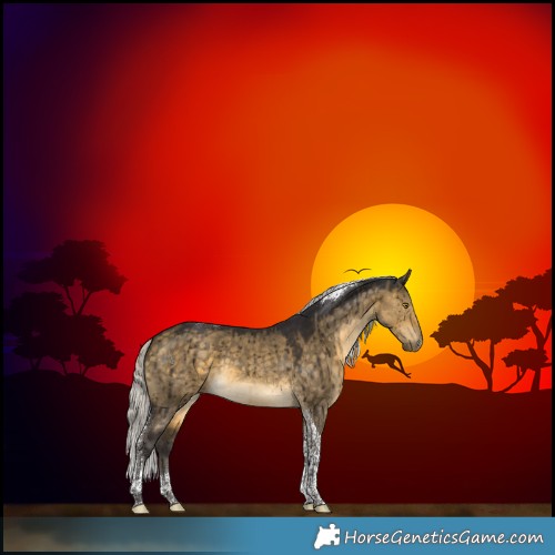 Horse Color:Silver Buckskin Dun Tobiano Brindle 