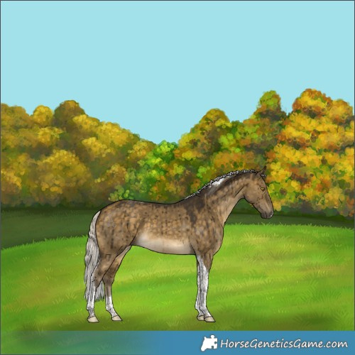 Horse Color:Silver Buckskin Dun Tobiano Brindle 