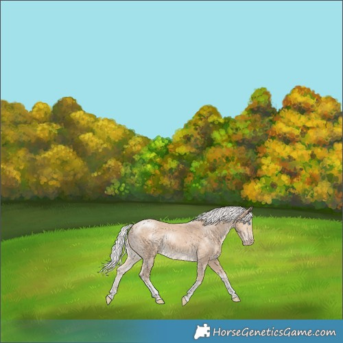 Horse Color:Silver Perlino Tobiano