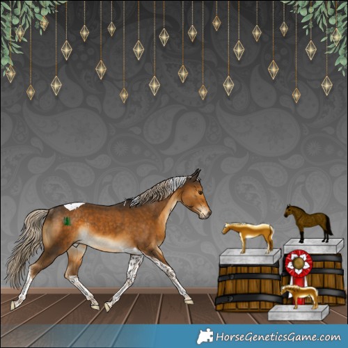 Horse Color:Chocolate Palomino Tobiano Rabicano 