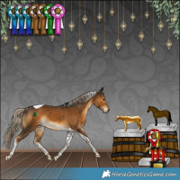 Horse Color:Chocolate Palomino Tobiano Rabicano