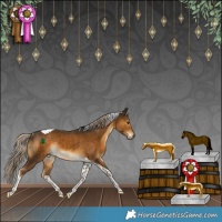 Horse Color:Chocolate Palomino Tobiano Rabicano 