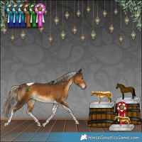 Horse Color:Chocolate Palomino Tobiano Rabicano 