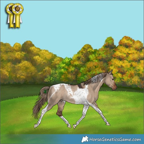 Horse Color:Liver Red Dun Tobiano Rabicano 