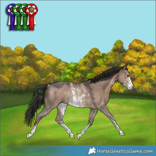 Horse Color:Liver Red Dun Sabino Rabicano 