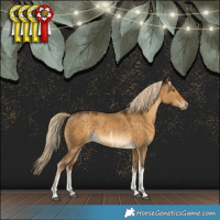 Horse Color:Chocolate Palomino Dun Sabino Tobiano Rabicano 