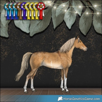 Horse Color:Chocolate Palomino Dun Sabino Tobiano Rabicano