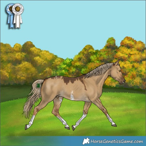 Horse Color:Chocolate Palomino Dun Sabino Tobiano Rabicano 