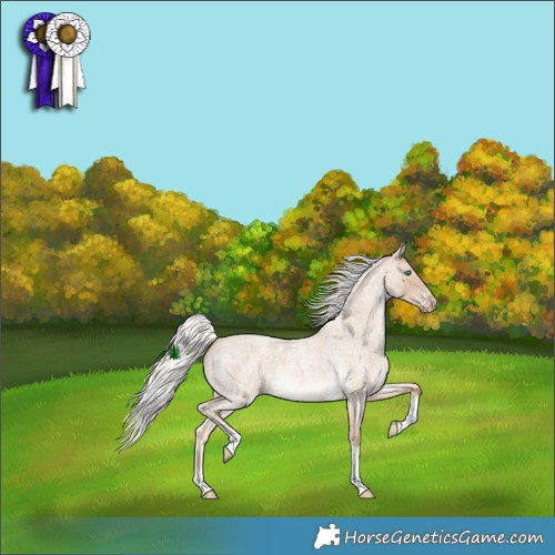 Horse Color:Silver Perlino Roan Tobiano Rabicano 