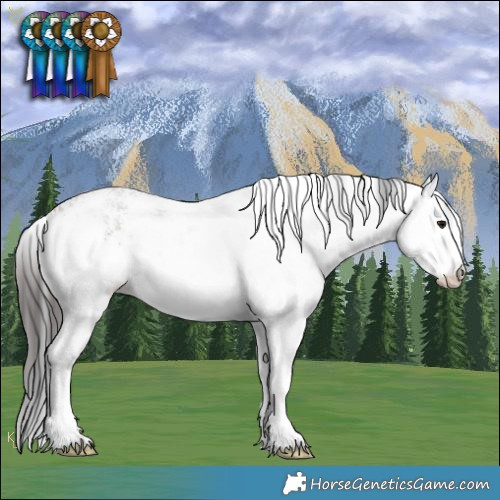 Horse Color:White Spotted Brown Rabicano 