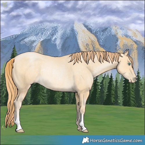 Horse Color:Buckskin Pearl Rabicano 