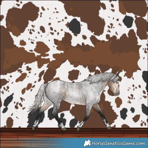Horse Color:Powder White Gray Silver Buckskin Roan 
