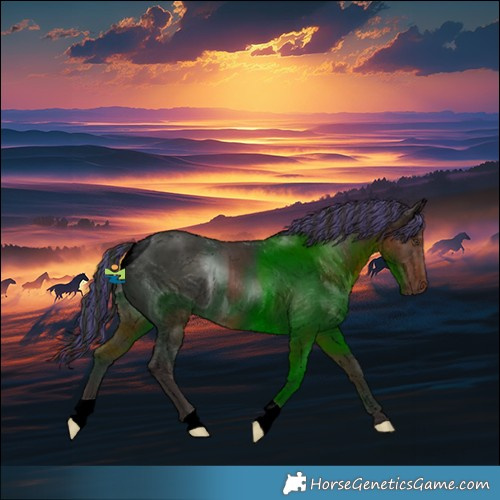 Horse Color:ERROR: UNKNOWN ANOMALY