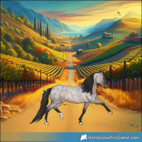 Horse Color:Bay Roan