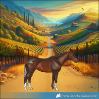 Horse Color:Silver Brown