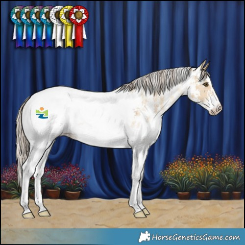 Horse Color:Chocolate Palomino Dun Mushroom Sabino Snowcap 