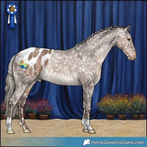 Horse Color:Liver Red Dun Mushroom Appaloosa 