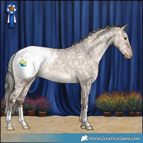 Horse Color:Liver Red Dun Mushroom Appaloosa Brindle 