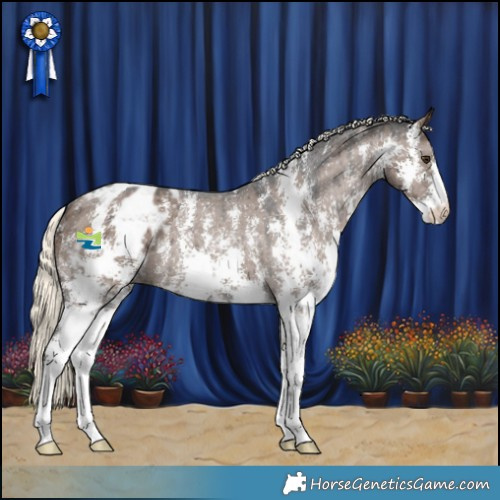 Horse Color:Liver Red Dun Mushroom Sabino Appaloosa Brindle 