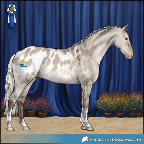 Horse Color:Liver Red Dun Mushroom Appaloosa 