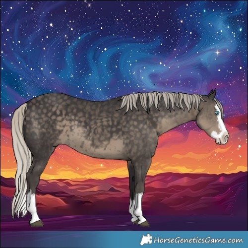 Horse Color:White Spotted Silver Smoky Black Splash 