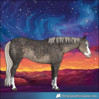 Horse Color:White Spotted Silver Smoky Black Splash 