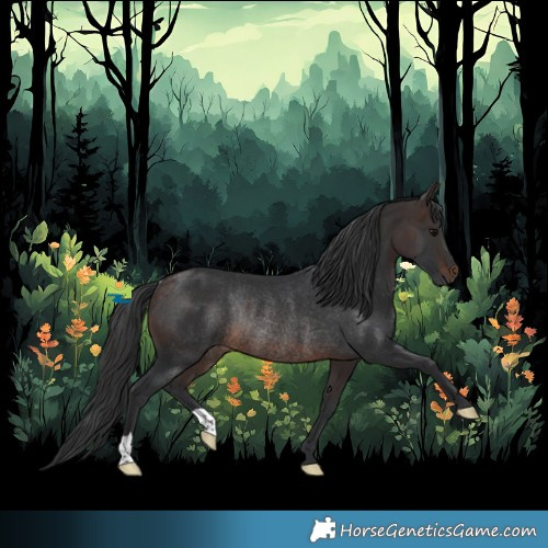 Horse Color:Brown Rabicano 