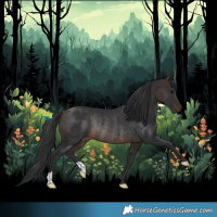 Horse Color:Brown Rabicano