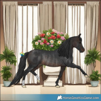 Horse Color:Brown Rabicano 