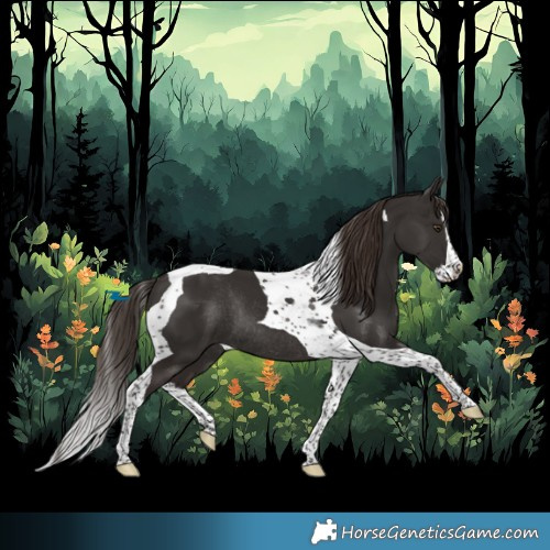Horse Color:Liver Chestnut Splash Tobiano Rabicano 