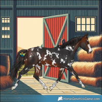 Horse Color:White Spotted Bay