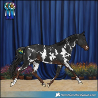 Horse Color:White Spotted Liver Chestnut 