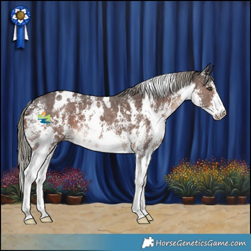 Horse Color:White Spotted Liver Chestnut Mushroom Sabino