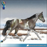 Horse Color:Brown Dun Tobiano 