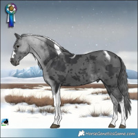 Horse Color:Black Merle Tobiano 