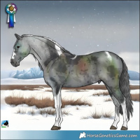 Horse Color:Black Merle Tobiano 