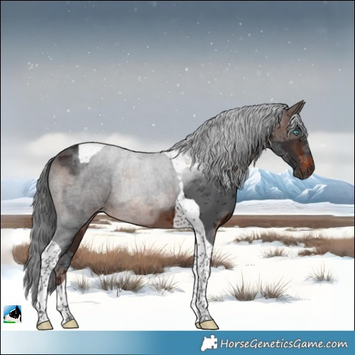 Horse Color:Brown Merle Tobiano 